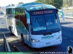 Unidades Irizar Century - Mascarello Roma 370 / Scania - Volvo - Mercedes Benz / Nilahue