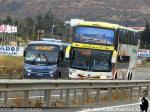 Comil Pia - Marcopolo Paradiso 1800DD / Mercedes Benz LO-915 & Volvo B12R / La Porteña - Atacama Vip