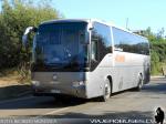 Higer / Buses Villar