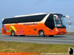 Young Man JNP6120T Starliner / Pullman Bus