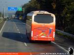 Young Man JNP6120T Starliner / Pullman Bus