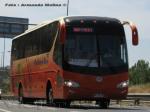 Yutong ZK6129H Extendido / Pullman Bus