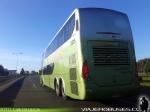 Modasa New Zeus II / Mercedes Benz O-500RSD / Tur-Bus