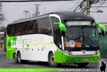 Neobus N10 380 / Scania K410 / Tur-Bus - Pintura: Francisco Armijo