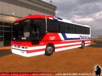 Busscar Jum Buss 340 / Scania K113 / Varias Empresas - Diseños: Jorge Godoy - Fabian Espinoza