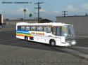 Nielson Diplomata 350 / Volvo B10M / Tas Choapa - Diseño para juego 18 Wheels of Steel : Countach