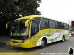 Neobus New Road N10 340 / Mercedes Benz OF-1724 / Buses Borquez