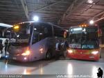 Buses Madrid - Transantin / Terminal San Borja