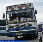 Comil Svelto / Mercedes Benz OF-1318 / Rural de Curico