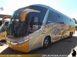 Marcopolo Paradiso G7 1200 / Mercedes Benz O-500RSD / Pullman Pulpica