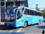 Neobus New Road N10 340 / Mercedes Benz OF-1724 / Buses La Porteña