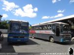 Unidades Busscar / Mercedes Benz / Buses Garcia