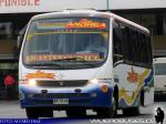 Marcopolo Senior / Mercedes Benz LO-914 / Buses Andrea