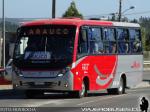 Neobus Thunder+ / Volkswagen 9-160 / Los Alces