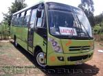 Caio Foz / Mercedes Benz LO-915 / Intercomunal Sur