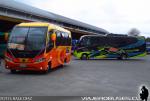Buses San Carlos / X Región