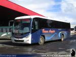 Marcopolo Ideale 770 / Mercedes Benz OF-1722 / Buses Angulo