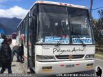 Busscar El Buss 340 / Mercedes Benz O-400RSE / Patagonia Austral