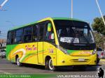 Neobus Thunder + / Mercedes Benz LO-916 / Terma Tur