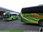 Neobus New Road N10 340 / Mercedes Benz OF-1724 / Kemel Bus