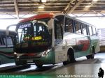 Neobus New Road N10 340 / Mercedes Benz OF-1721 / Talagante