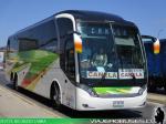 Neobus New Road N10 380 / Mercedes Benz O-500RSD / Buses Canela