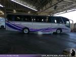 Neobus New Road N10 340 / Mercedes Benz OF-1724 / Bupesa