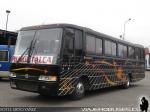 Busscar El Buss 320 / Mercedes Benz OF-1318 / Buses Pavez