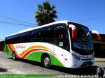 Marcopolo Ideale 770 / Mercedes Benz OF-1722 / Interbus