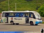 Marcopolo Senior / Mercedes Benz LO-916 / Expresos del Carbon