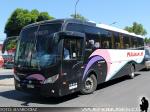 Mascarello Roma MD / Volvo B270F / Pullman JR