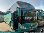 Zhong Tong LCK6137 / Buses Desierto Florido