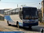 Unidades Mercedes Benz / Buses Paine