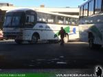 Busscar El Buss 340 / Mercedes Benz / Nar-Bus