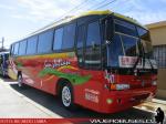 Marcopolo Viaggio GV850 / Mercedes Benz OF-1318 / Buses San Julian