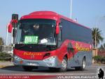 Golden Dragon / Buses Palacios