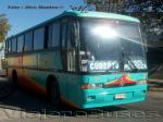 Marcopolo Viaggio 1000 / Mercedes Benz O-371 / Buses Mendoza