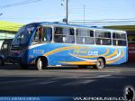 Neobus Thunder + / Mercedes Benz LO-916 / Anditur