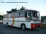 Marcopolo Viaggio GV1000 / Scania F-113 / Buses Hornopiren