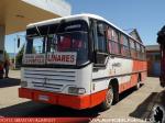 Thamco Taurus / Mercedes Benz OF-1318 / Rural de Linares