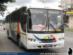 Maxibus Lince / Mercedes Benz OF-1721 / Ruta 5