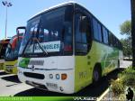 Marcopolo Andare / Mercedes Benz OF-1721 / Buses Parada & Matus - Servicio Especial