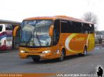 Marcopolo Viaggio 1050 / Mercedes Benz OF-1722 / Buses Vargas