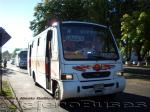 Ciferal Agilis / Mercedes Benz LO-814 / Curacautin Express