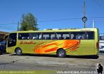 Busscar El Buss 340 / Volkswagen 17-230 / Interbus