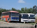 Buses Cifuentes / Linares - VII Región