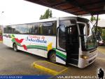 Busscar El Buss 340 / Mercedes Benz OF-1721 / Cordillera de Nahuelbuta