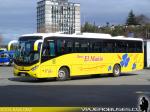 Marcopolo Ideale 770 / Mercedes Benz OF-1722 / Buses El Mañio