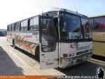 Busscar El Buss 320 / Mercedes Benz OF-1318 / Buses Blanco