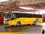 Marcopolo Ideale 770 / Mercedes Benz OF-1722 / Buses Madrid